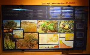 41 SANTA POLA ANTIQUE MUSEE (11)